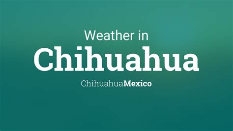 Weather for chihuahua mexico - Although the exact origin of the Chihuahua is difficult to pinpoint, both legend and archaeological evidence indicate that the Chihuahua breed started in Chihuahua, Mexico. In 1850, a pot painted with Chihuahua-like dogs (most likely Techichis, a dog thought to be an ancestor of the Chihuahua) was unearthed from ruins at Casas Grandes in the …